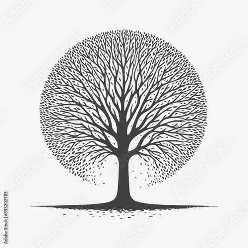 Print Majestic Sycamore Tree Silhouette, A Stunning Natural Masterpiece