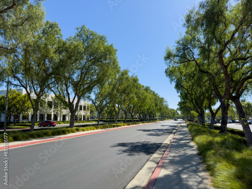  Empty road of a a business complex with trees © BJ