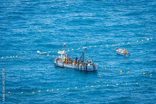 May 2024. Almadraba Fishing in La Azohia, Murcia. Spain