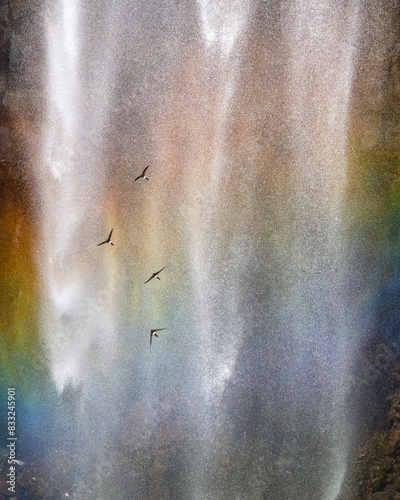 Fototapeta Naklejka Na Ścianę i Meble -  栃木県日光市　虹と岩つばめ