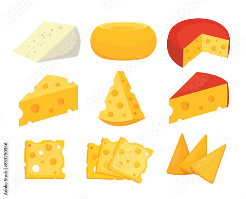 cheese parts and slices vector illustration