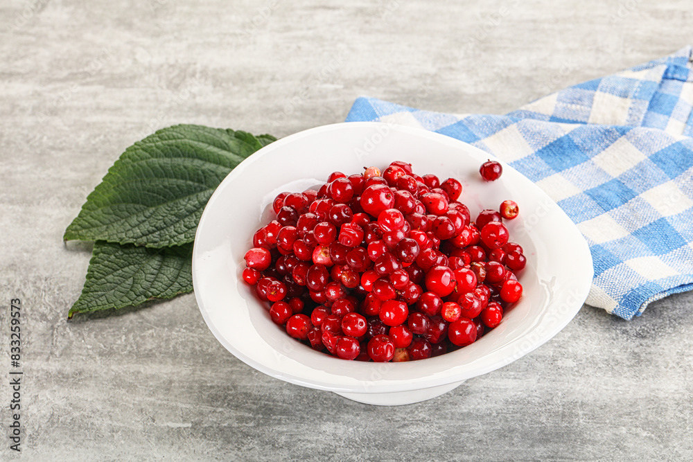 Ripe sweet wild organic cowberry Ripe sweet wild organic cowberry