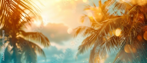 Summer blurred natural panoramic background of tropical beach with palm trees 