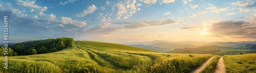 Picturesque winding path through a green grass field in hilly area in morning at dawn 