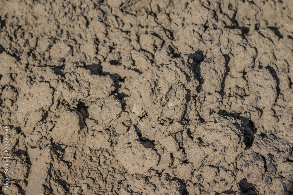 Brown and grey dirt on the ground, like bedrock or concrete Brown and grey dirt on the ground, like bedrock or concrete