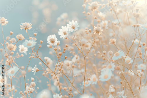 Soft Pastel Wildflowers on Beige & Blue Background