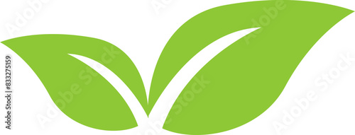 Nature Leaf Icon