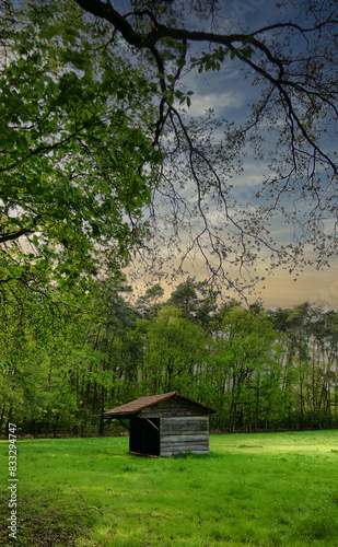 A peaceful wooden shed in a lush green forest under a stunning sunset sky creates a serene atmosphere