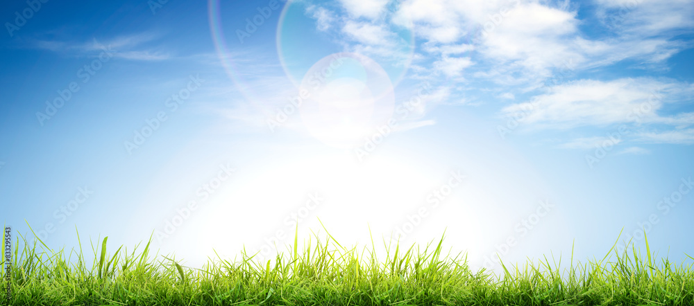 A bright fresh sunny spring, summer blue sky background with white fluffy clouds and lush green grass in the foreground.