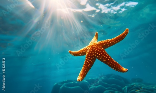 Orange sea star in clean underwater ocean, Generative AI