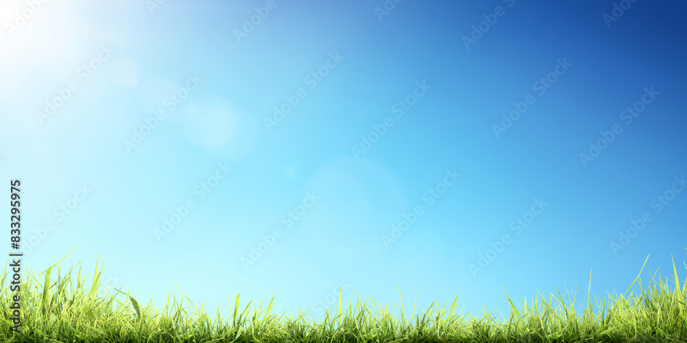 A bright fresh sunny spring, summer blue sky background with a lush green grass in the foreground. A bright fresh sunny spring, summer blue sky background with a lush green grass in the foreground.