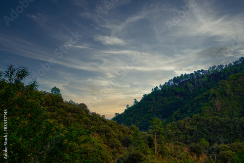 A breathtaking view of a mountain forest under a stunning sky with wispy clouds during a mesmerizing sunset