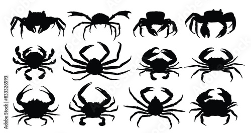 The set silhouettes of sea crabs.
