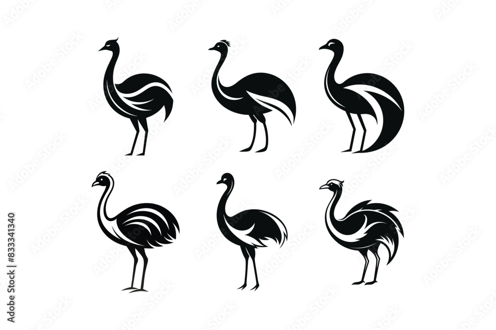 Obraz premium sets of ostrich or emu bird vector art illustration on white background