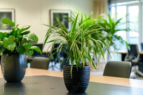 Professional Photography of indoor plants placed strategically around the office, improving air quality and creating, Generative AI