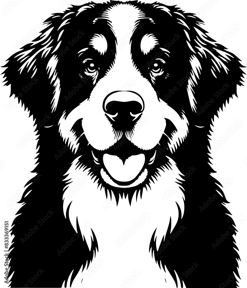 Naklejka premium Bernese Mountain Dog16