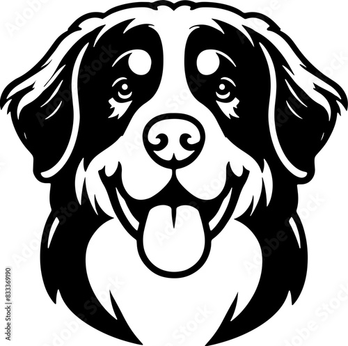 Bernese Mountain Dog8