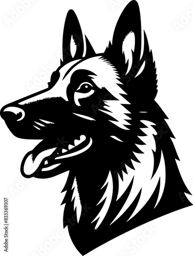 Belgian Malinois15