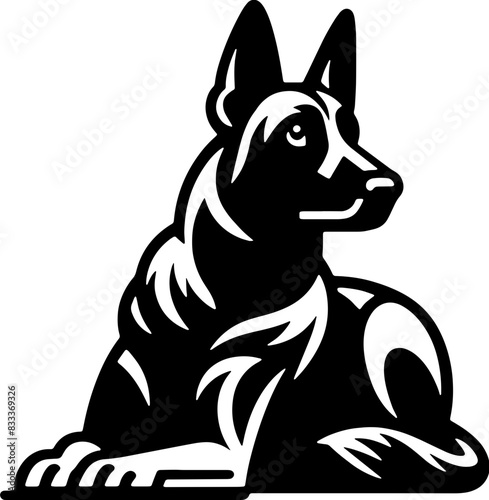 Belgian Malinois13