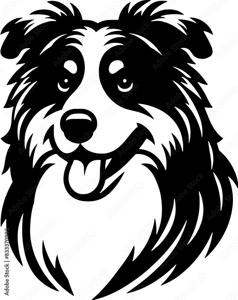 Fototapeta premium Australian Shepherd13