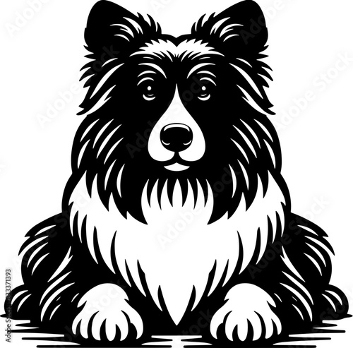 Aspin Dog9