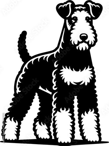 Airedale Terrier14