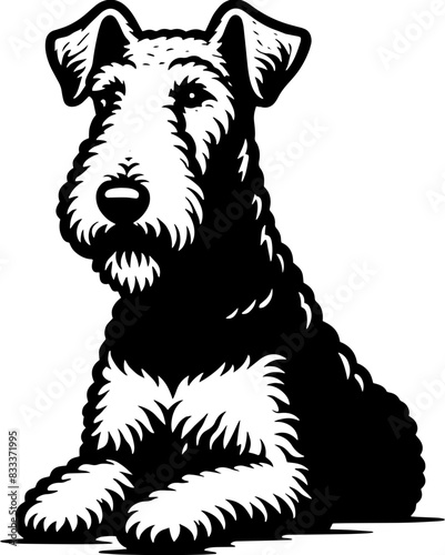 Airedale Terrier13