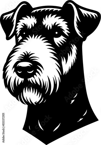 Airedale Terrier10