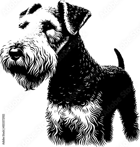 Airedale Terrier15