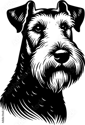 Airedale Terrier8