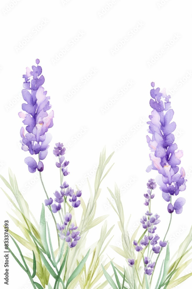 lavender themed frame or border for photos and text.delicate purple flowers and green stems. watercolor illustration, Perfect for nursery art, simple clipart, single object, white color background. lavender themed frame or border for photos and text.delicate purple flowers and green stems. watercolor illustration, Perfect for nursery art, simple clipart, single object, white color background.