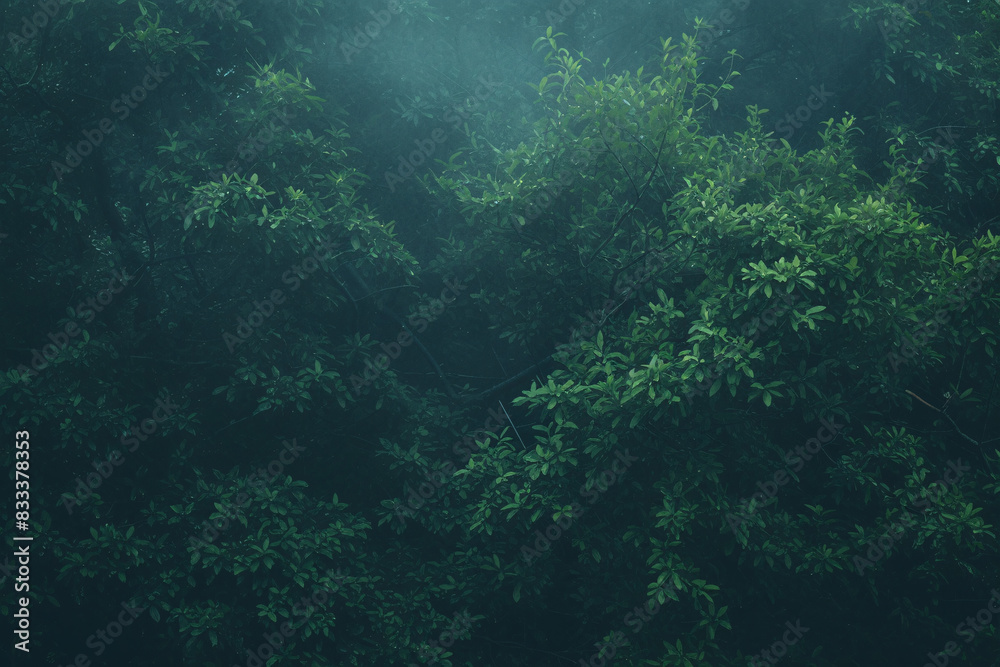 Another view of a mist-covered forest highlighting the dense green foliage