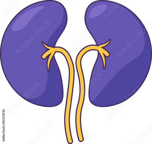 Healthy human kidney system icon. Part of urinary system, medical stroked cartoon element for modern and retro design. Simple color vector pictogram isolated on white background