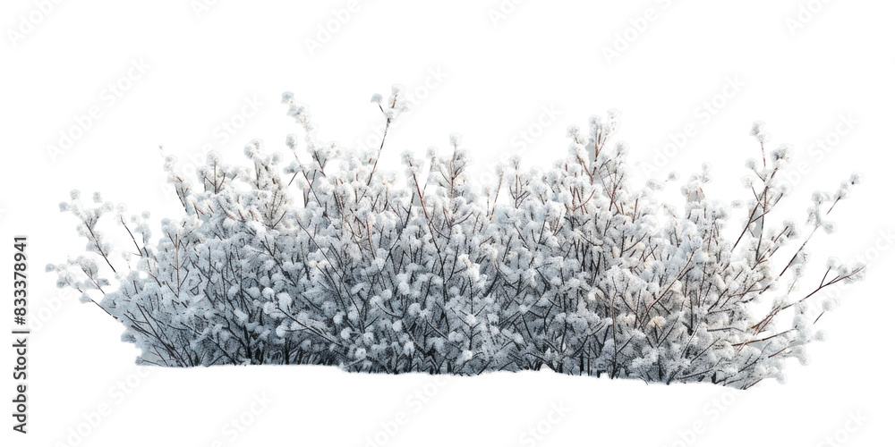 Snow-Covered Bush on Transparent Background