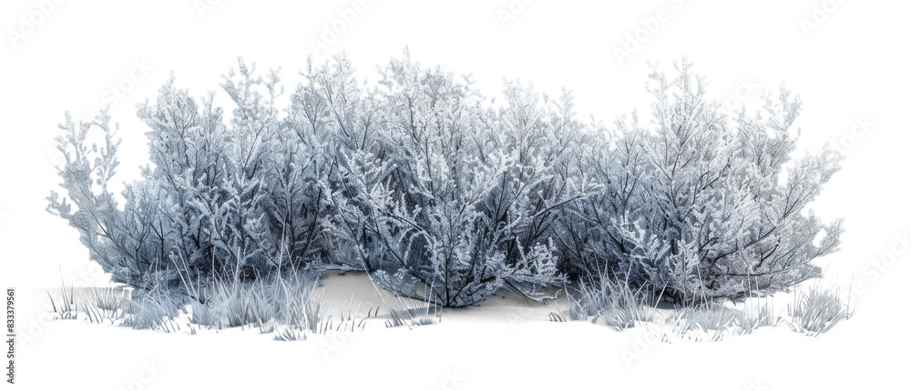 Frosted Bush on Transparent Background, Winter