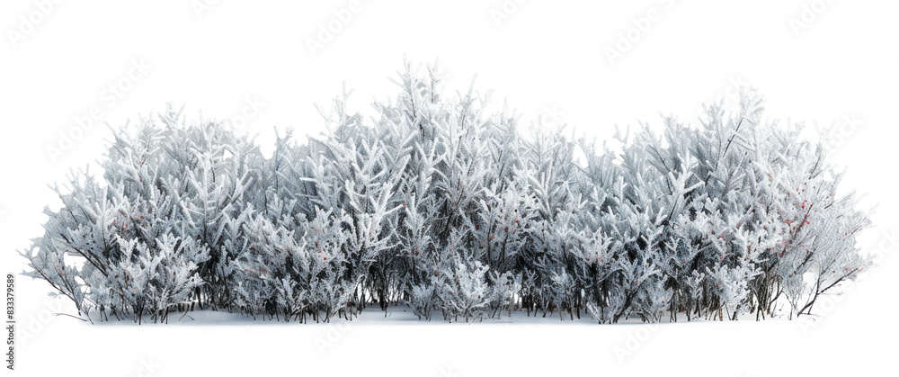 Snow-Covered Bush in Winter Scene