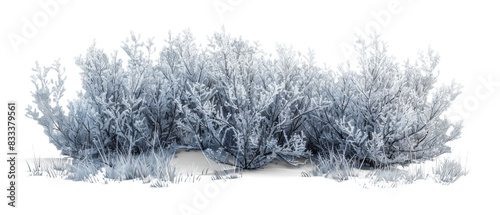Obraz na płótnie Frosted Bush on Transparent Background, Winter w salonie