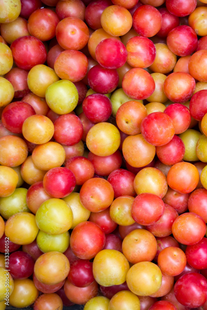 Plum Plum