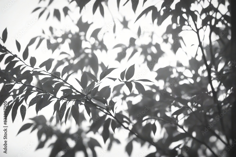 branches of a tree branches of a tree