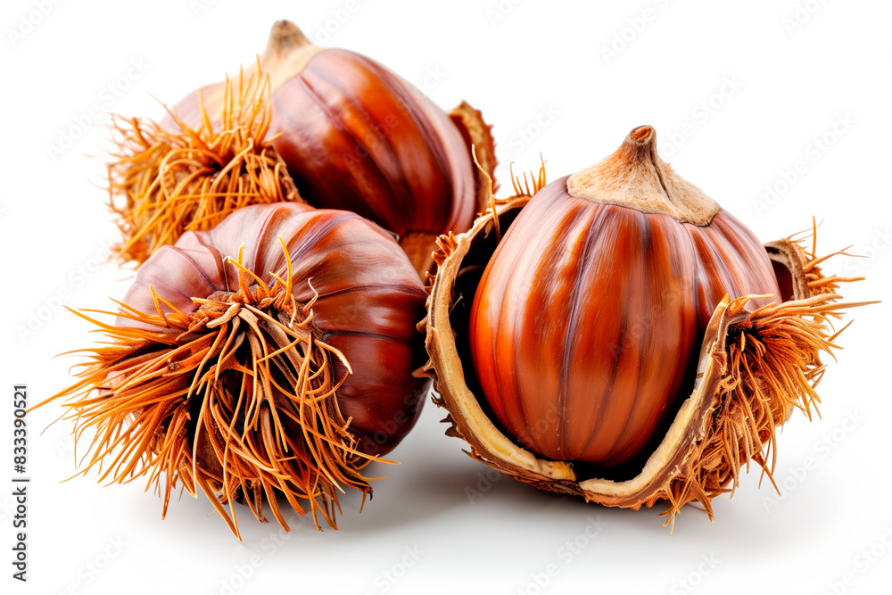 Close-up of shelled and unshelled Chestnut nuts isolated on a white background, showcasing their texture Close-up of shelled and unshelled Chestnut nuts isolated on a white background, showcasing their texture
