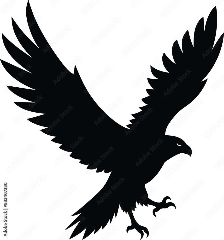 Obraz premium Eagle silhouette, flying bird silhouette