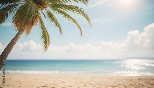 beach with trees