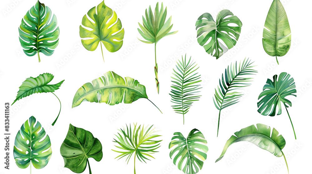 Green leaves of different plants on a transparent background. Green leaves of different plants on a transparent background.