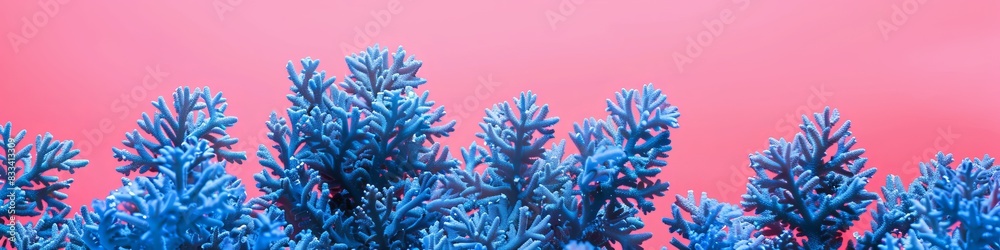 sea and ocean corals. sea and ocean corals.