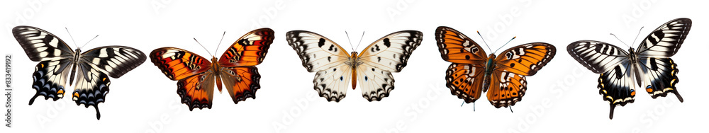 Fototapeta premium Butterflies png element set on transparent background