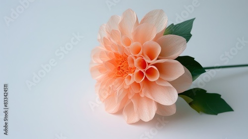 Delicate, intricately crafted, isolated single paper flower dahlia made from vibrant crepe paper, petals softly curled, sitting on a clean white background.