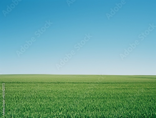 A wide  lush green field stretches to the horizon under a clear  cloudless blue sky  evoking tranquility