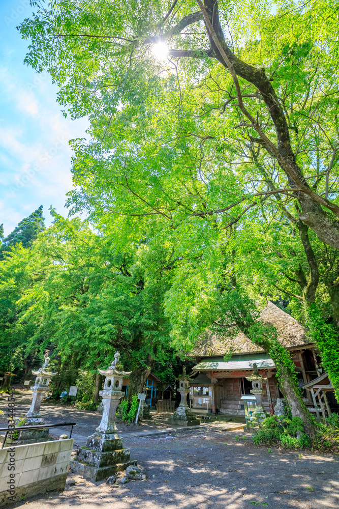初夏の水堂安福寺 観音堂 佐賀県白石町 Mizudo Anpukuji Temple in early summer. Kannondo. Saga Pref, Shiraishi town. 初夏の水堂安福寺 観音堂 佐賀県白石町 Mizudo Anpukuji Temple in early summer. Kannondo. Saga Pref, Shiraishi town.