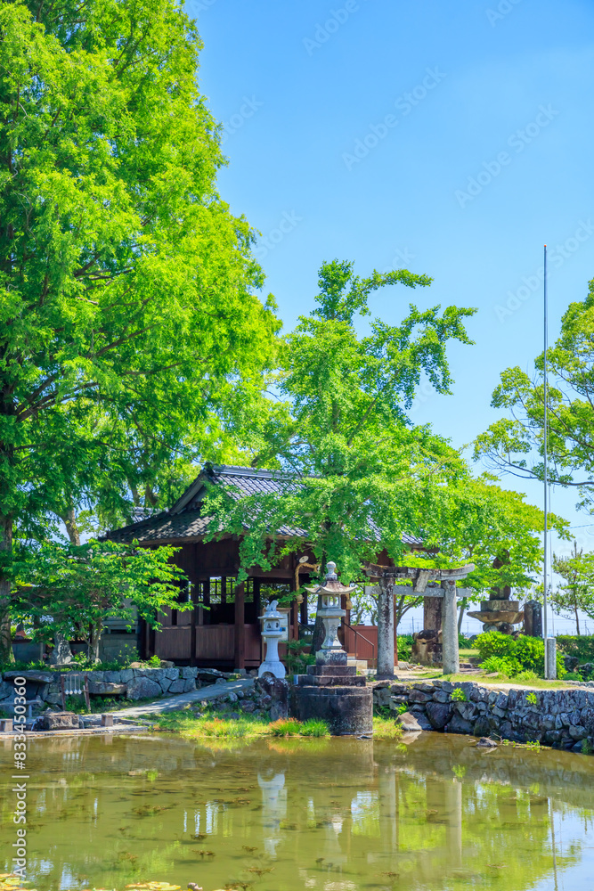 初夏の縫ノ池と川津厳島神社 佐賀県白石町 Nuinoike and Kawazu Itsukushima Shrine in early summer. Saga Pref, Shiraishi town. 初夏の縫ノ池と川津厳島神社 佐賀県白石町 Nuinoike and Kawazu Itsukushima Shrine in early summer. Saga Pref, Shiraishi town.