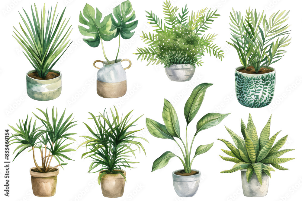 Obraz premium [Transparent Background PNG]Watercolor Set of Indoor Plants in Pots